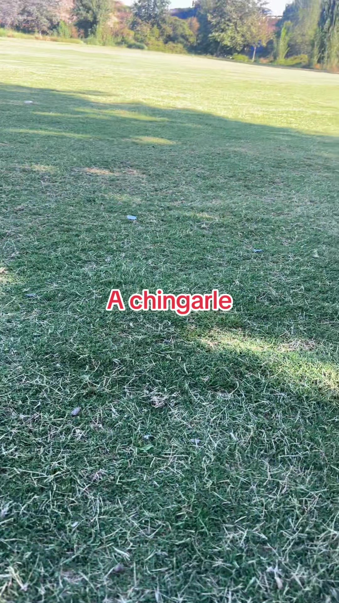 @Sylmar united