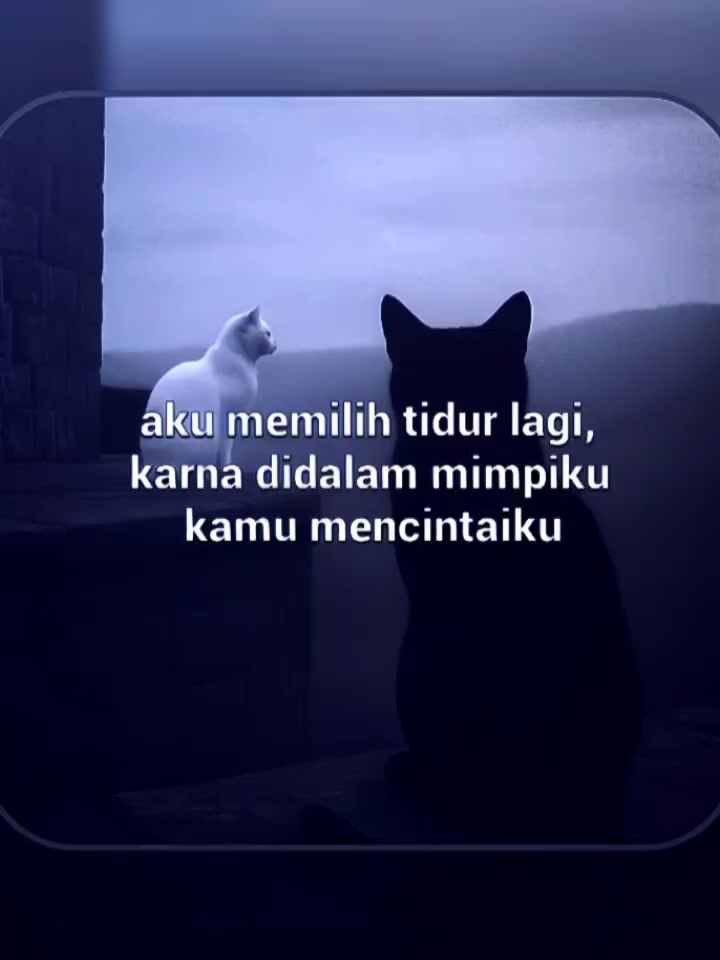 @Maya