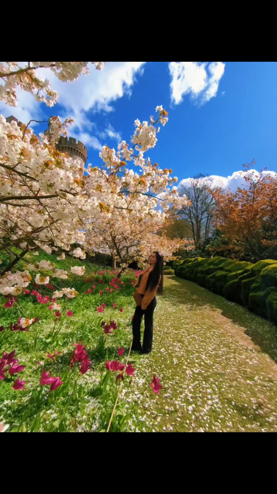 @🐞Ali. &Aacute; 🌻🌻🌻🌻🌻