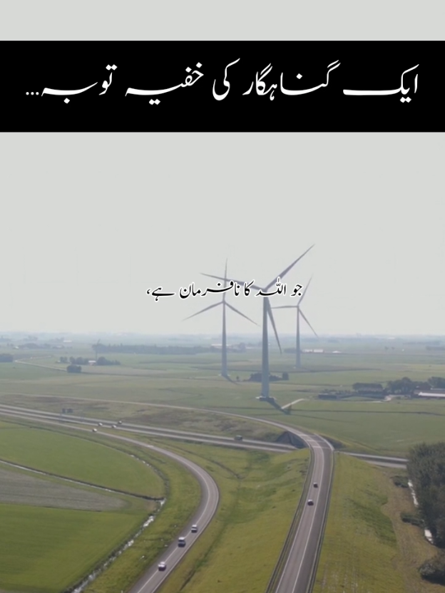 @Noor e sehar