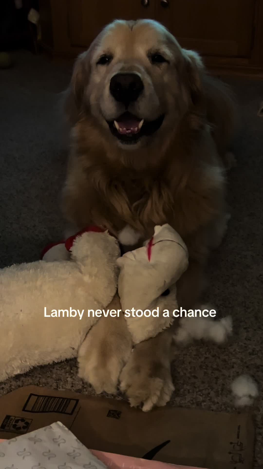 @Kody the Golden