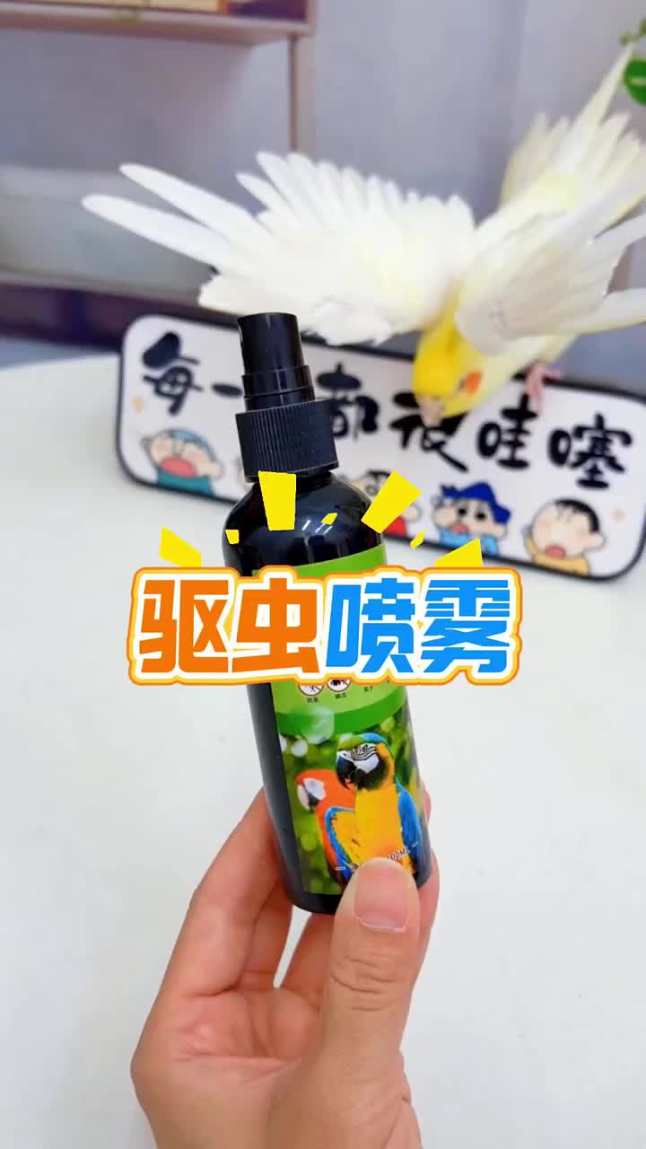 @chinabirds47
