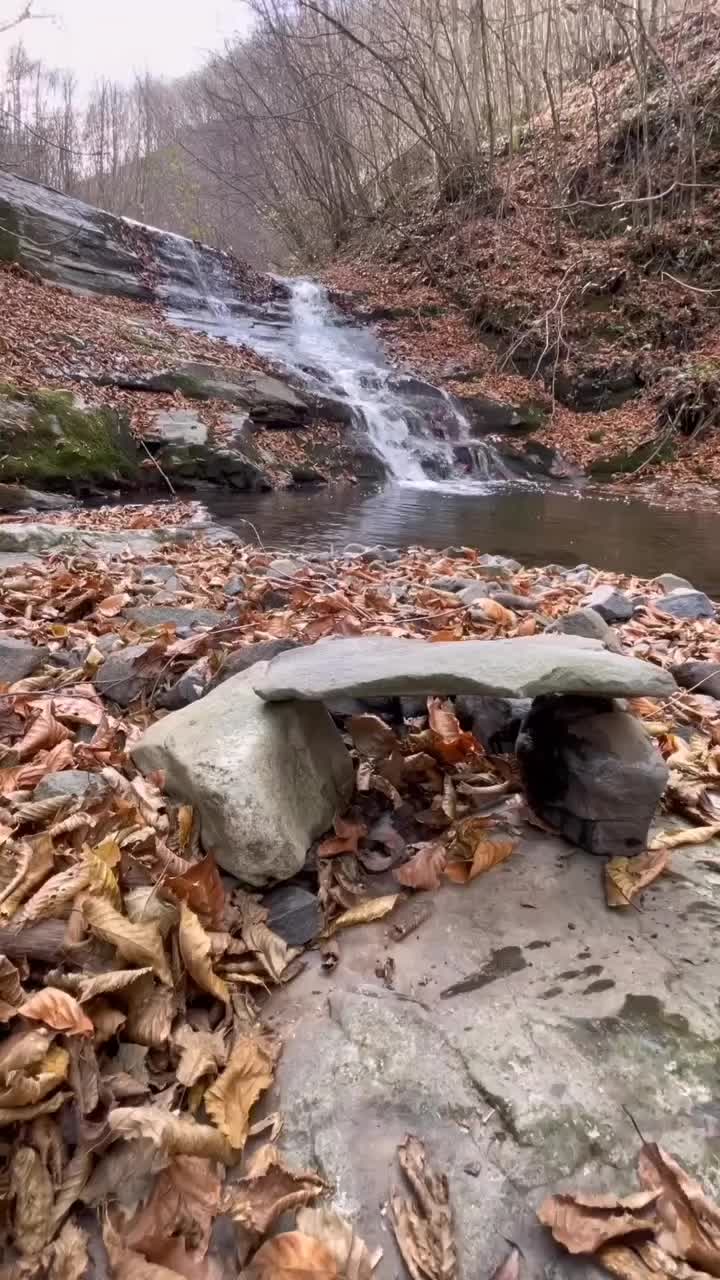 @𝘼𝙟𝙢𝙖𝙡 𝙃𝙪𝙨𝙖𝙖𝙣 9T9