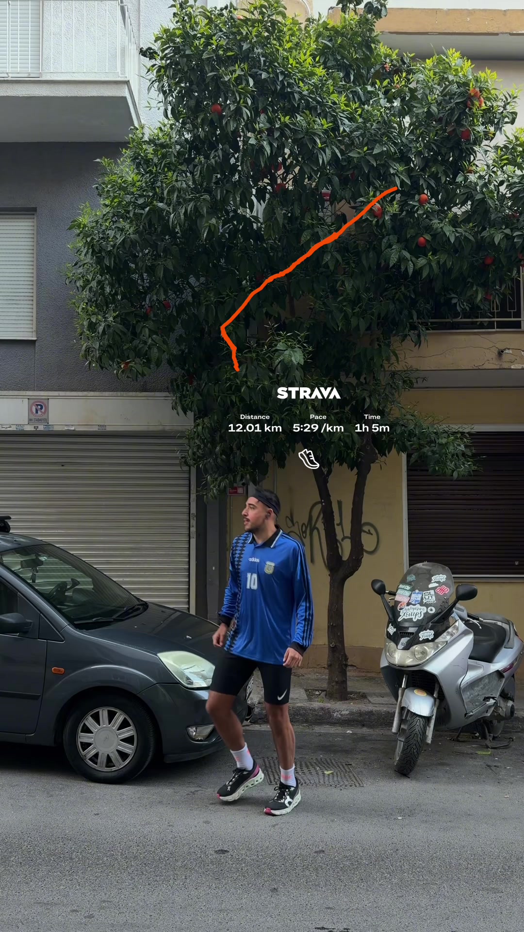 @Felix Dandrea