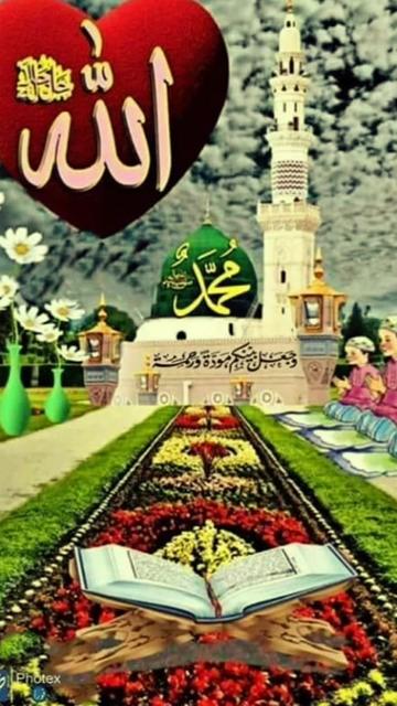 @Alsibajawaid UK🇬🇧🙏 🇵🇰