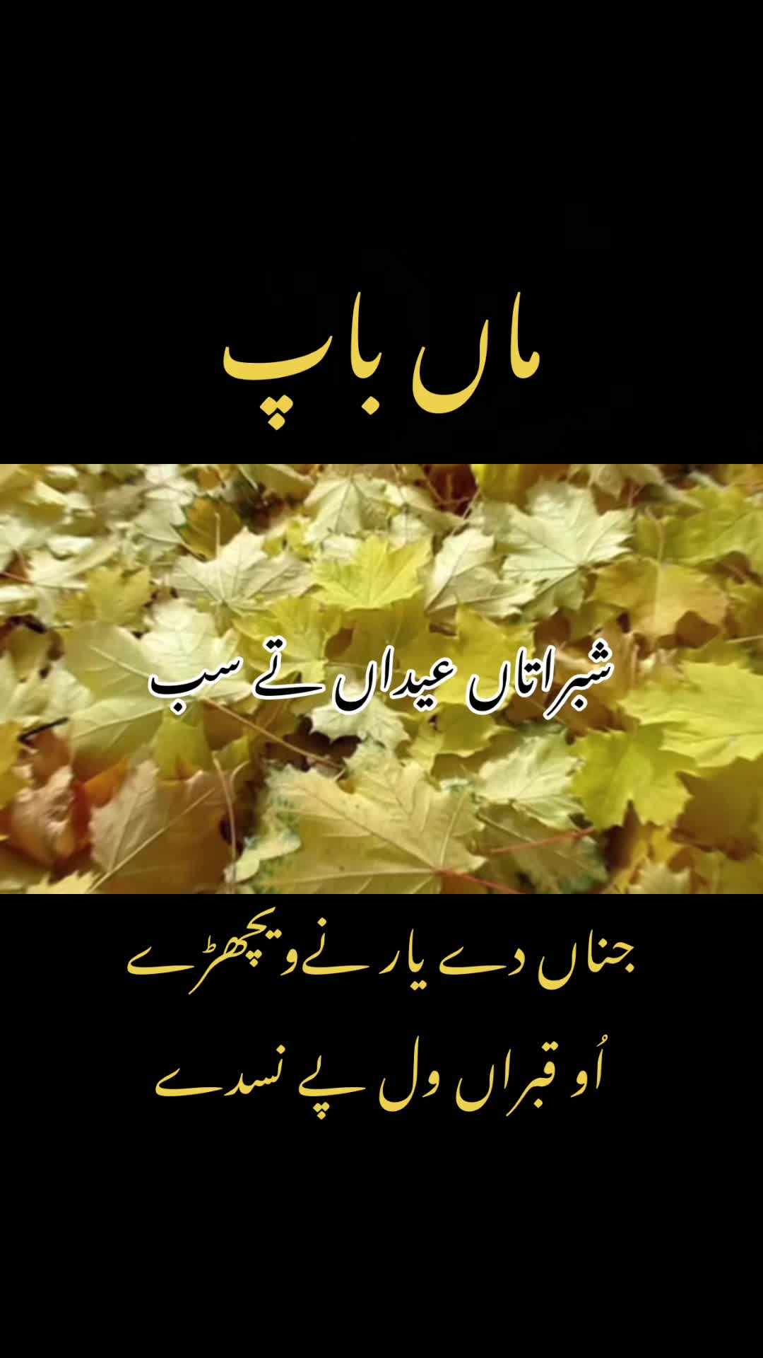 @Jat sab