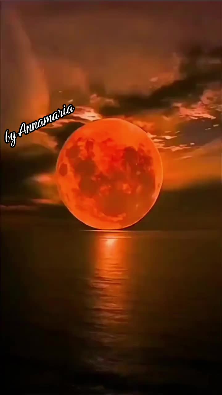 @✨️<ANNA>🌟M