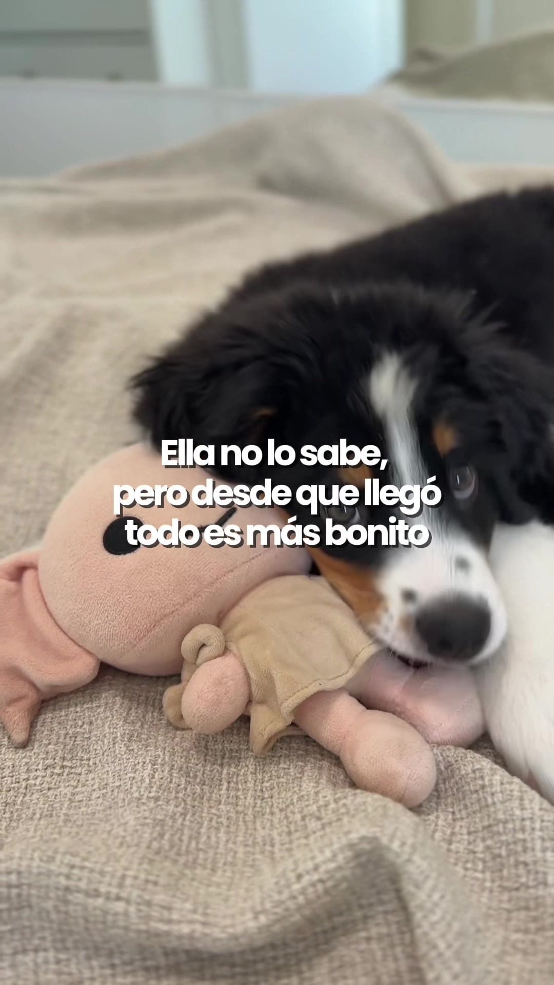 @Susana 🍵