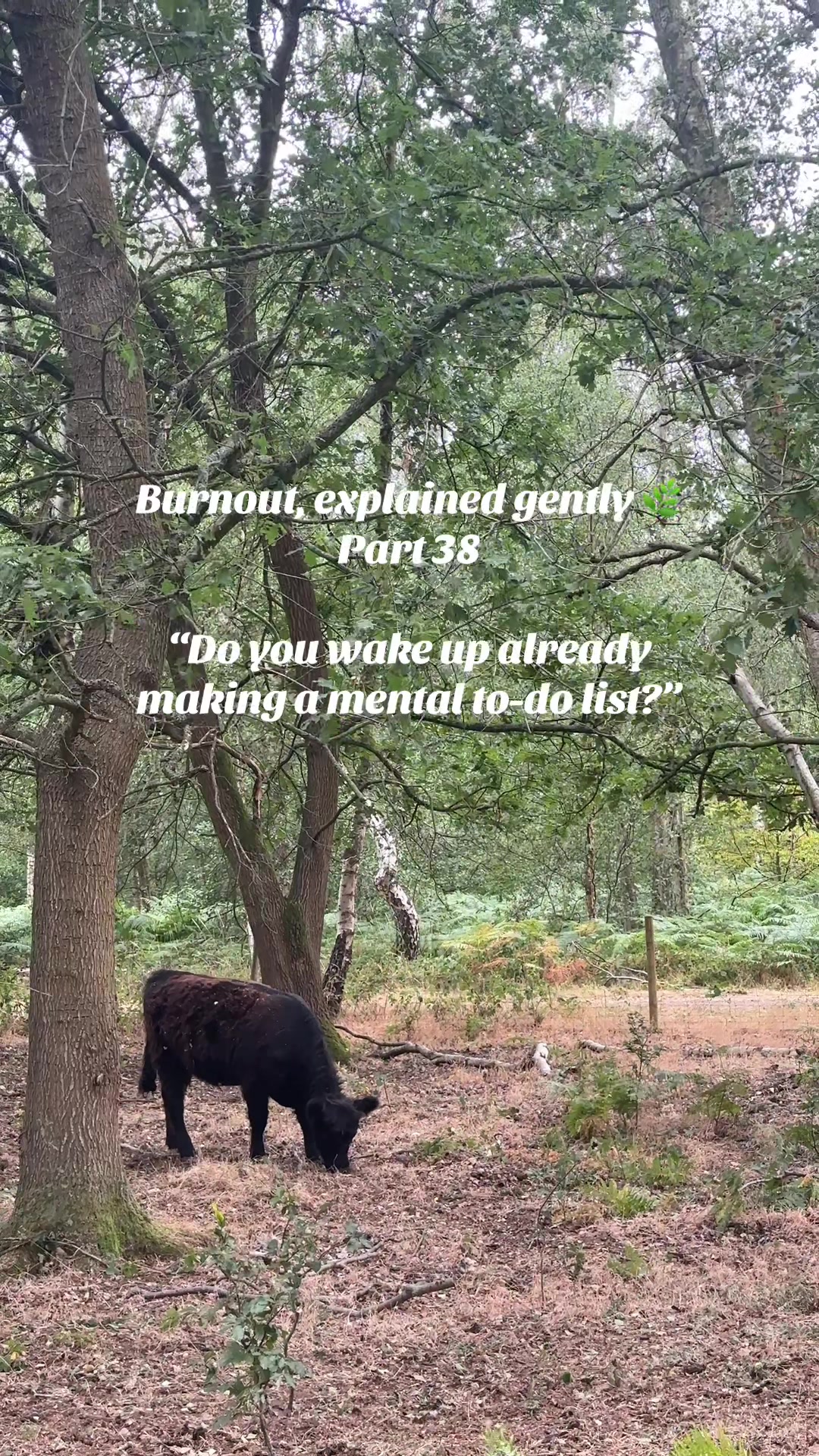 @thequietyou