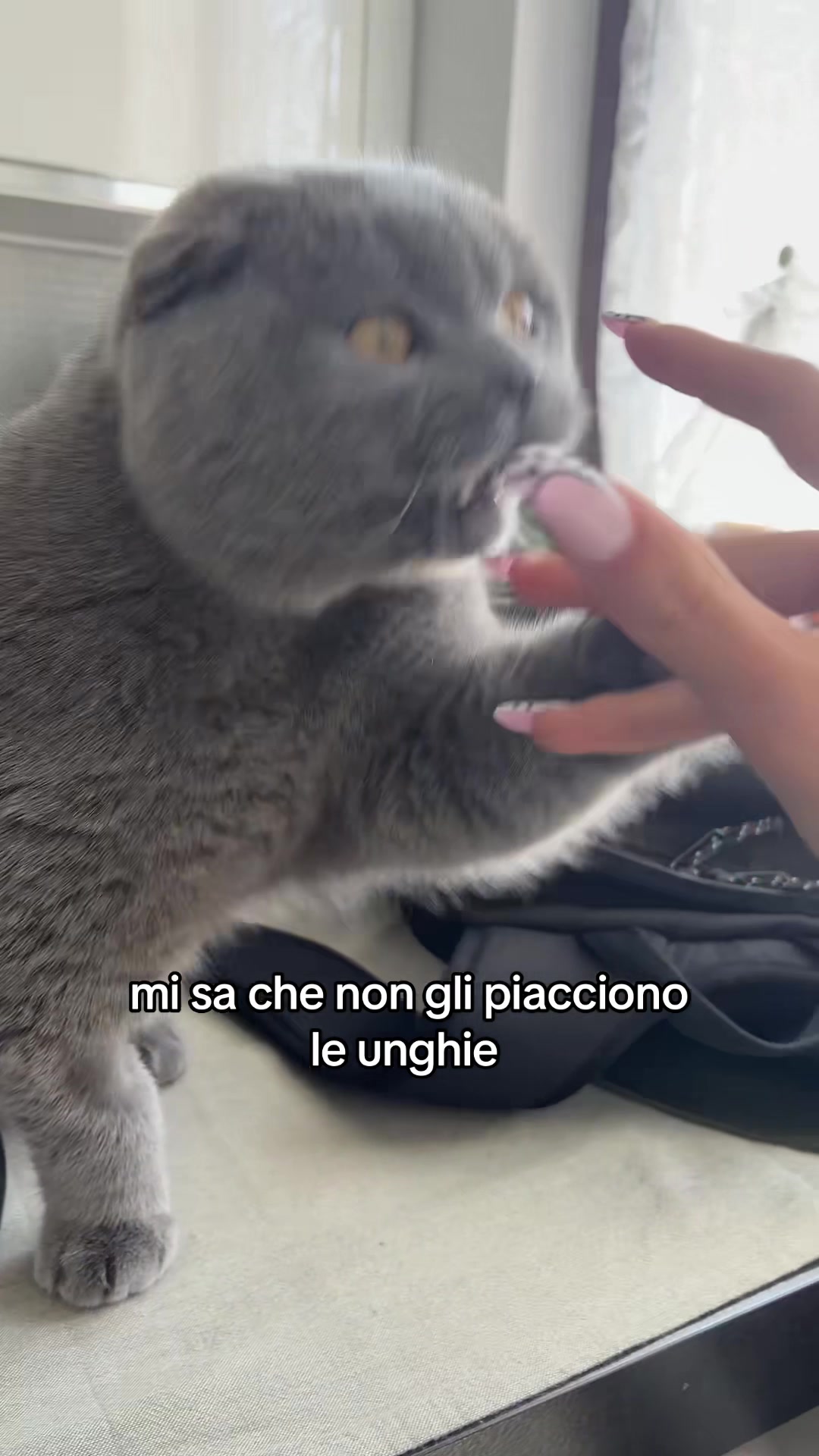 @saratmb2
