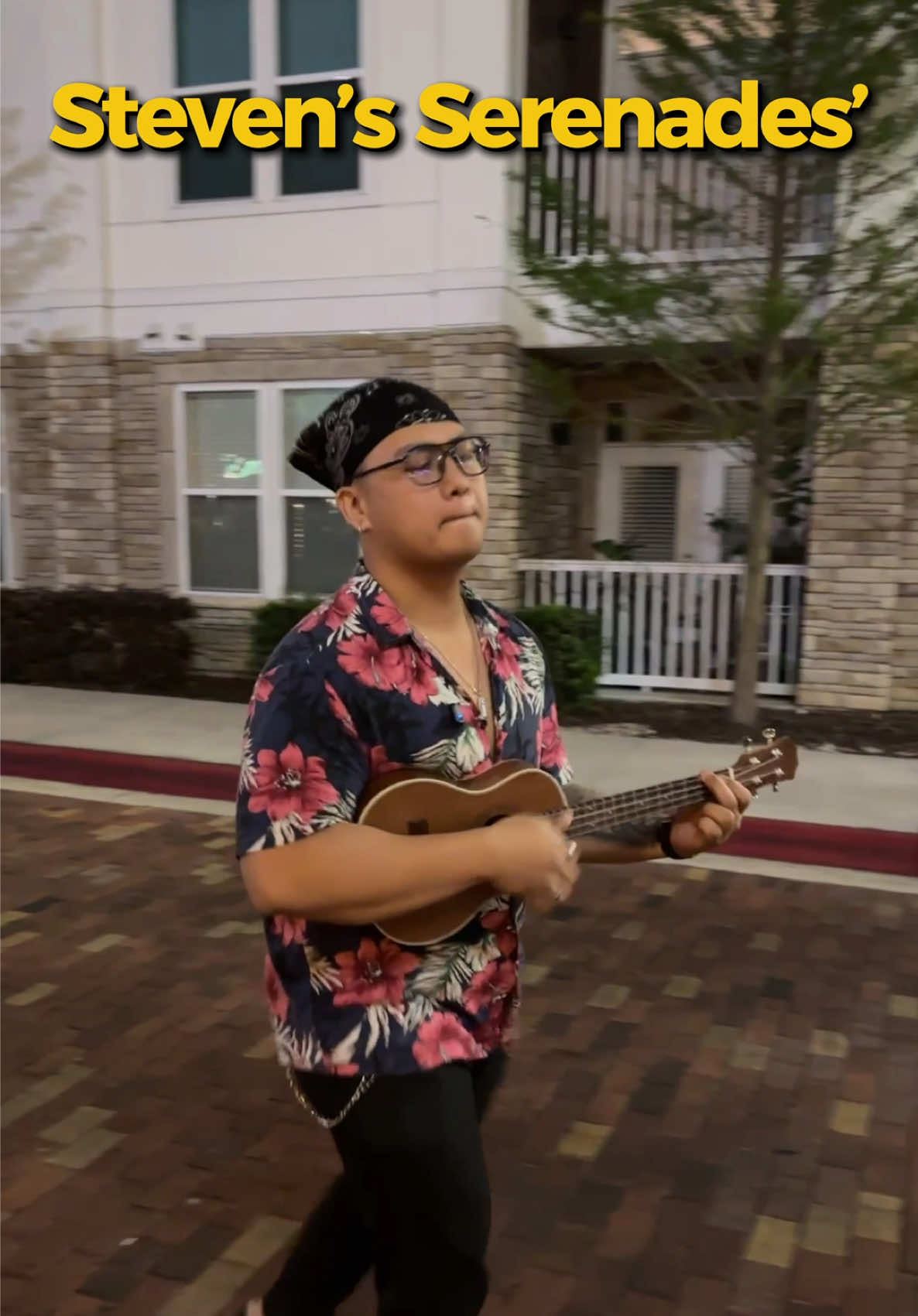 @Steven Serenades