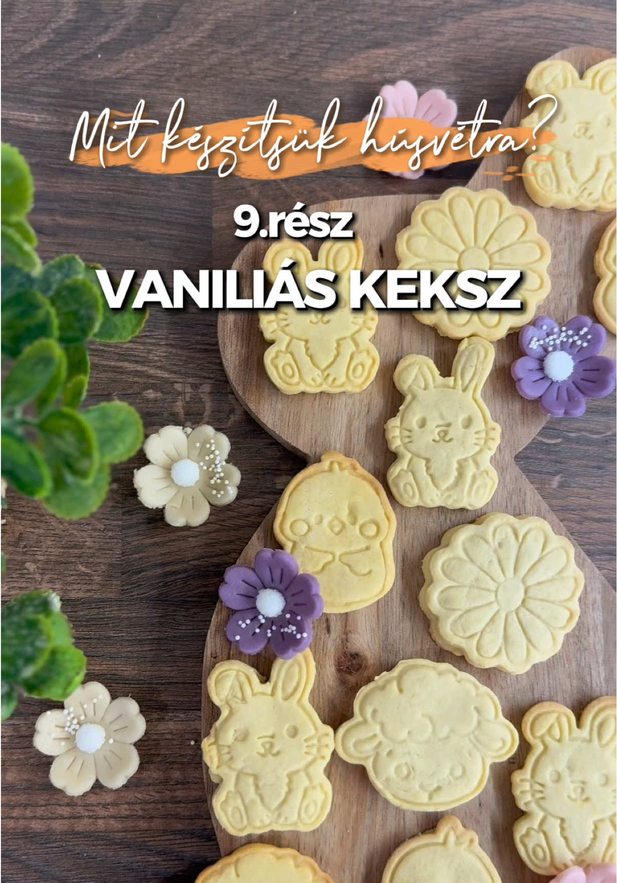 @Kmettyné Hegedűs Gabriella