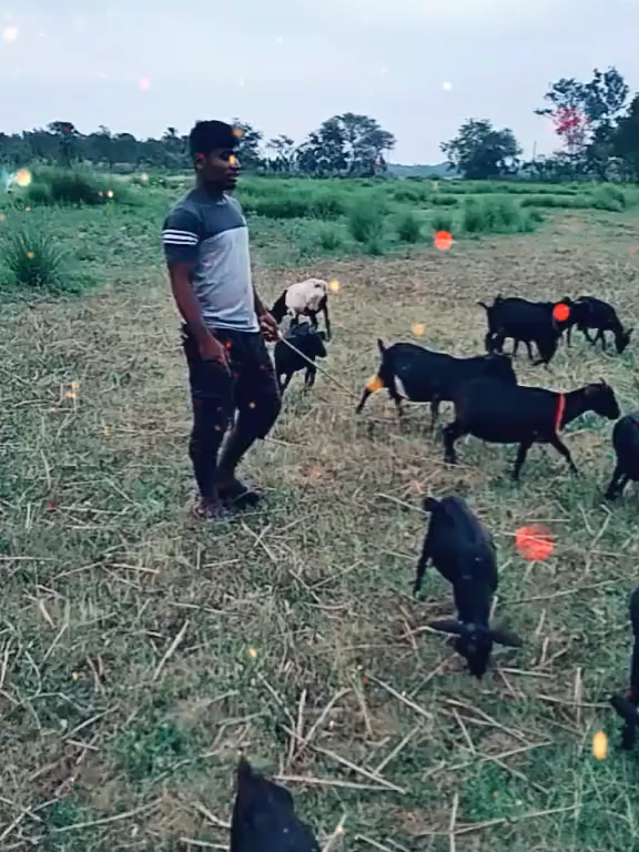 @sanjoypanja09.24