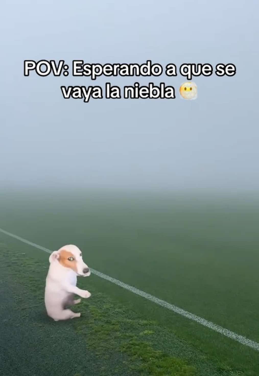 @Celta