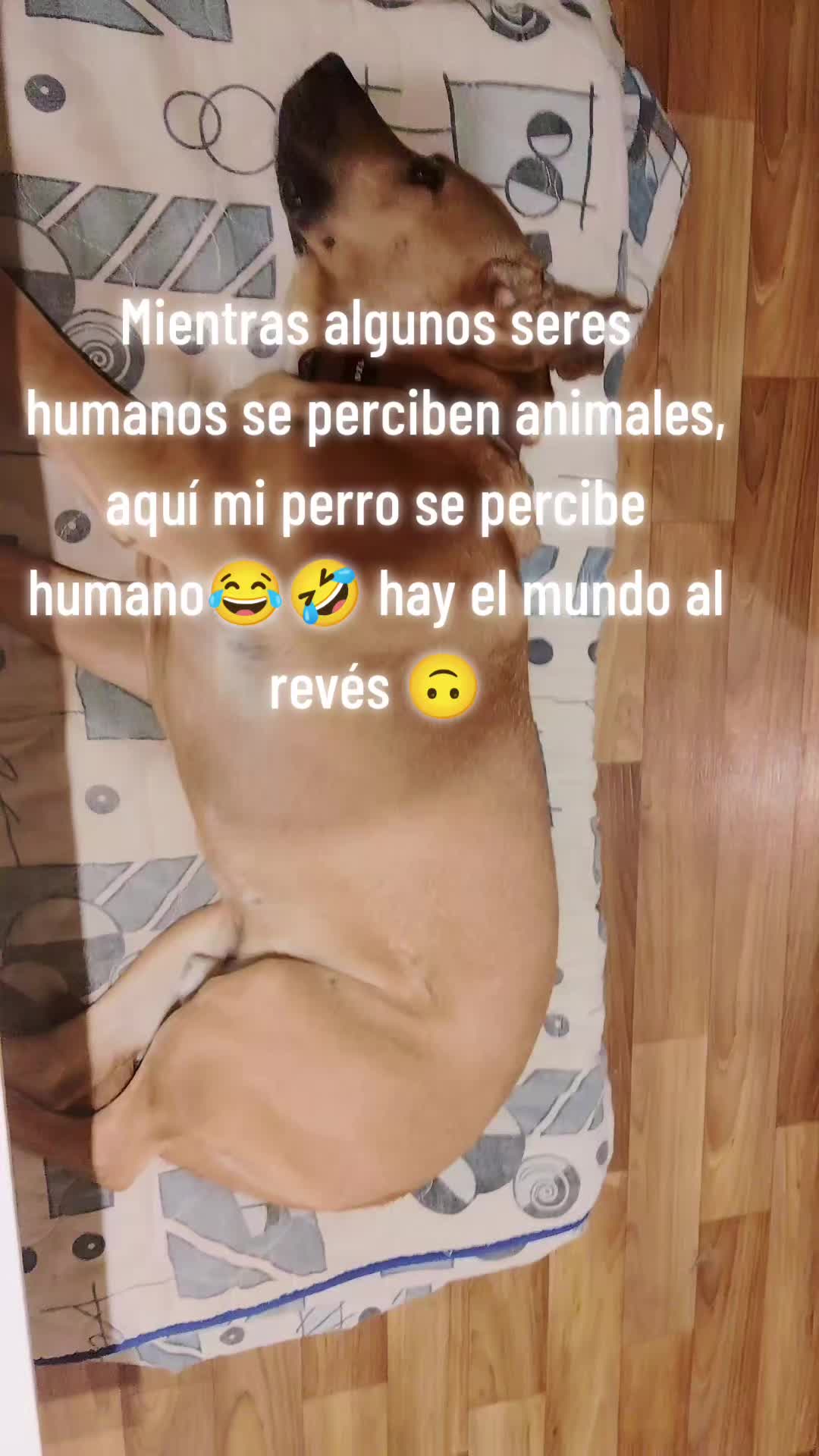 @💟💟Jenny💟💟