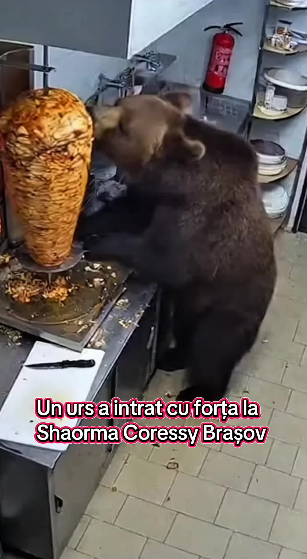 @CORESSY®️