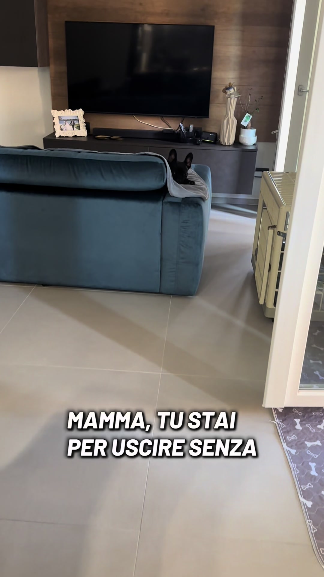 @Bullo_mal&ugrave;
