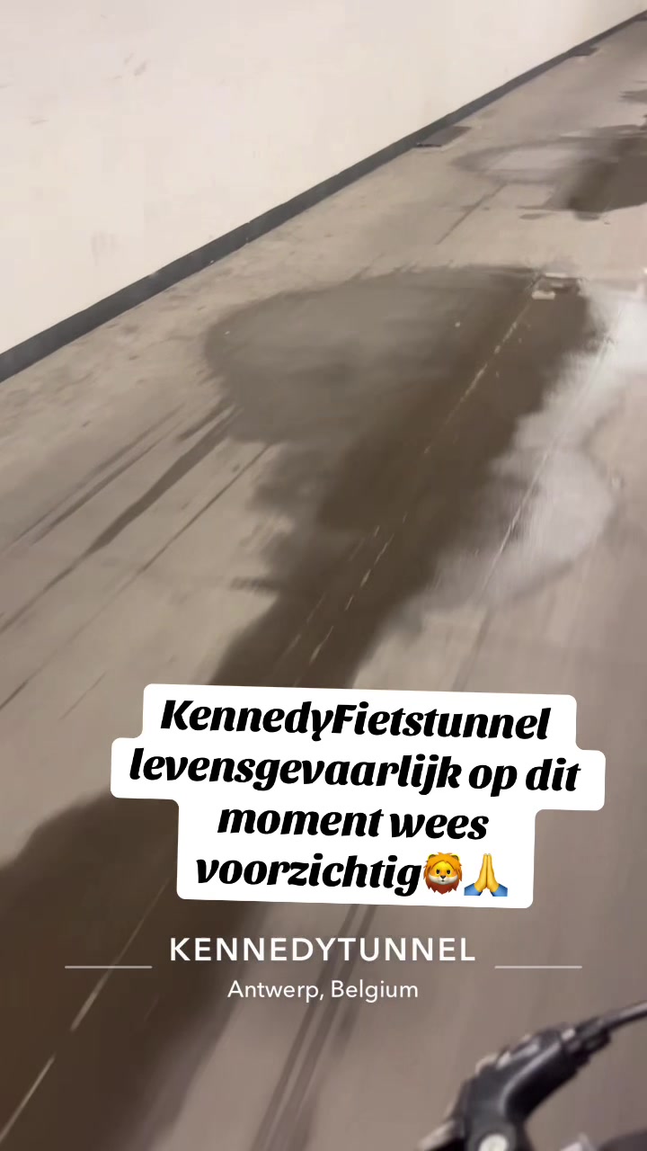 @Rosseleeuw🦁❤️