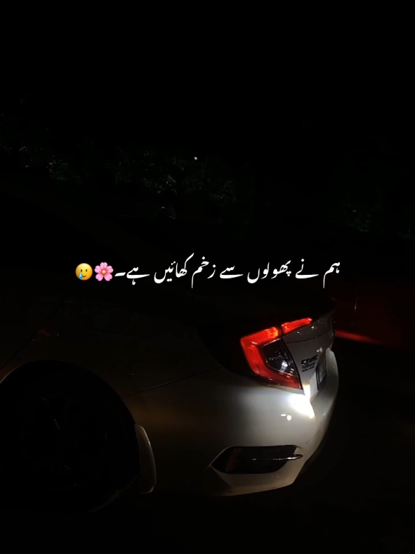 @𓆩𝘽 𝘼 𝘽 𝘼 𝙍𓆪 -🧸