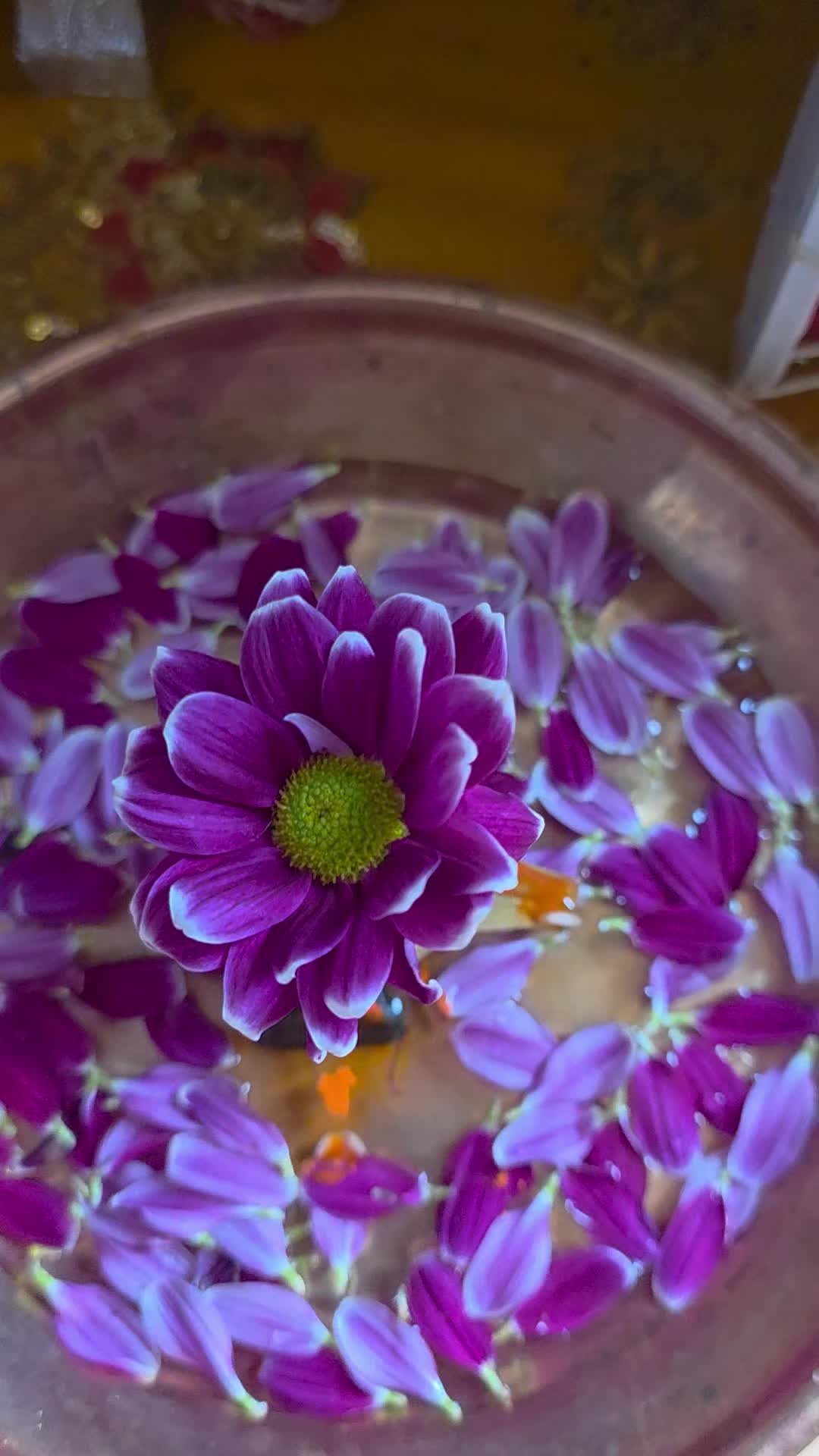 @Bholenath ki beti😊❤️😊