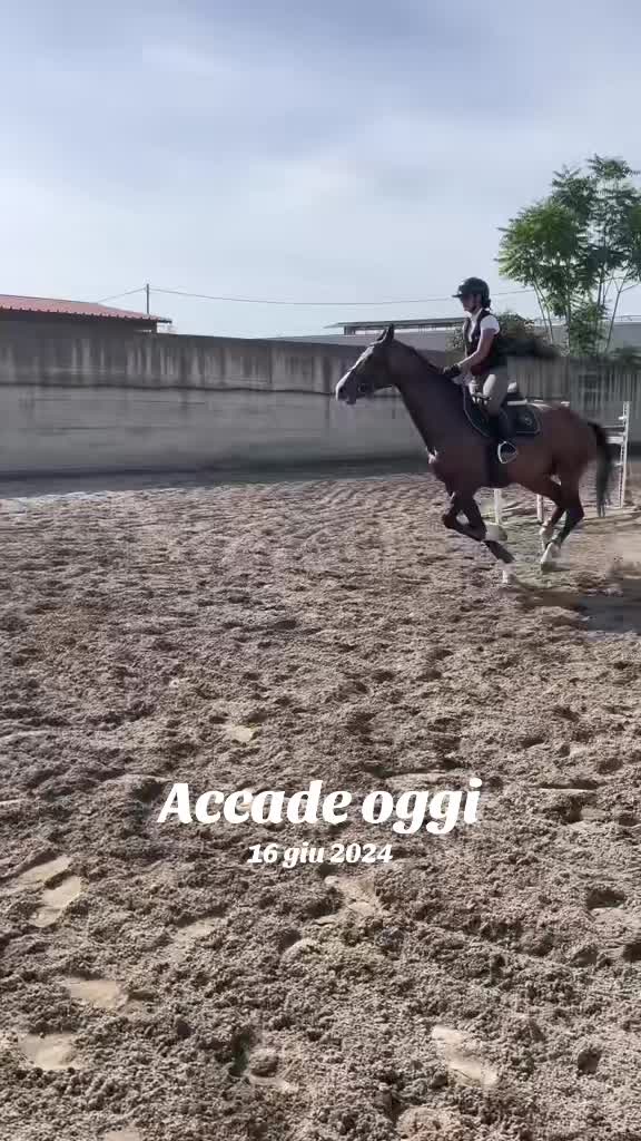 @Fabiana Tuccillo🇮🇹🐴🫀