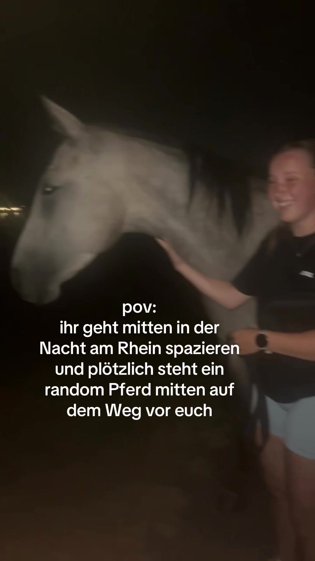 @maya