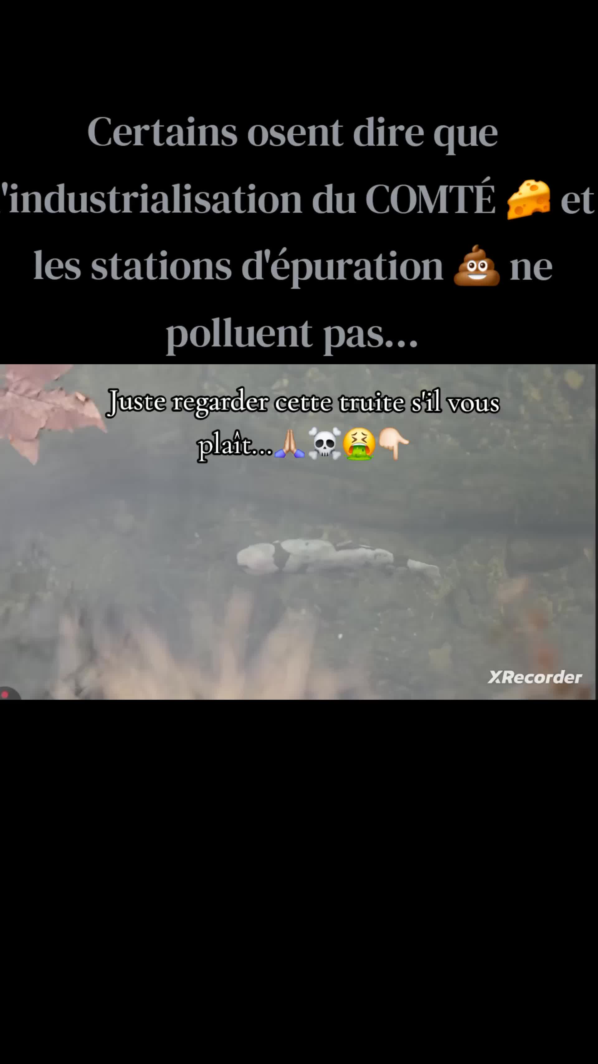 @rivi&egrave;res comtoises &agrave; l'agonie
