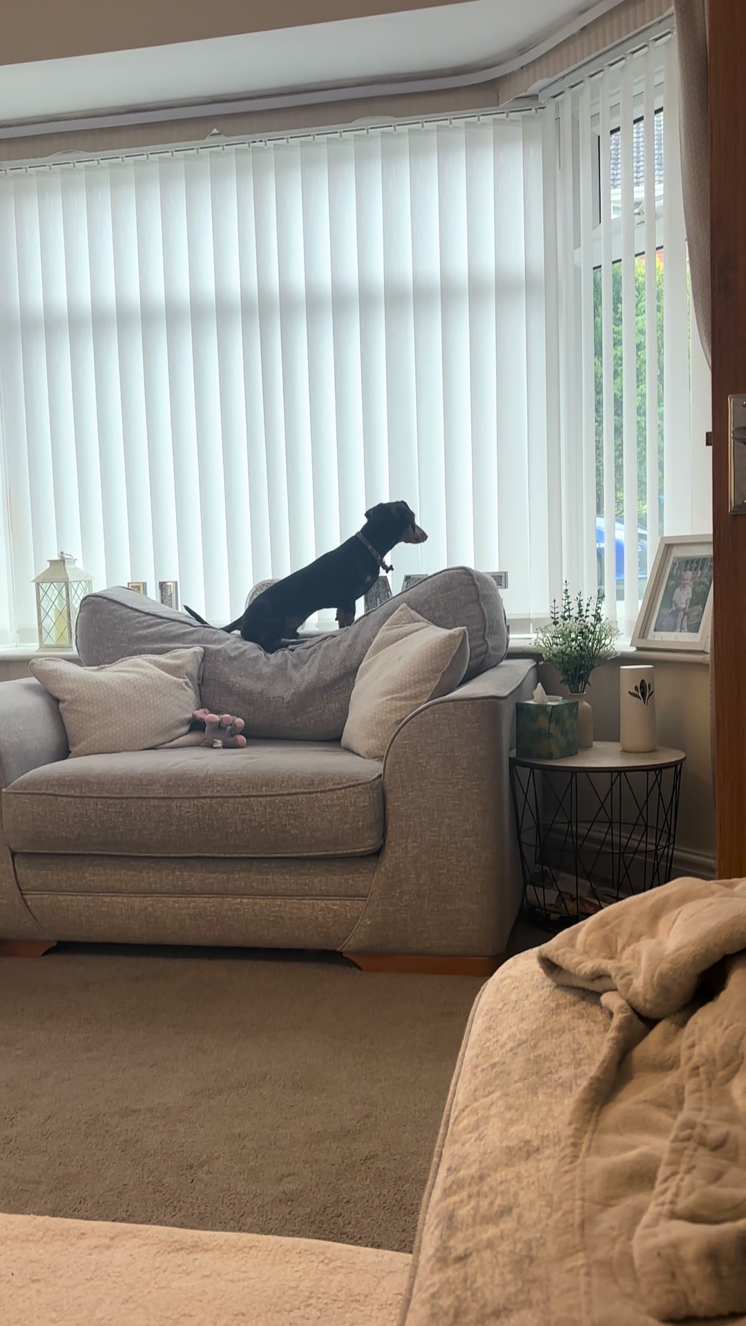 @Emily ][ DachshundDiaries