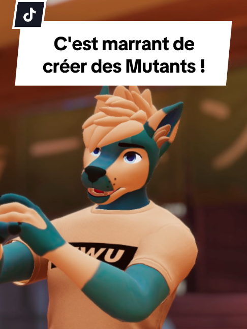 @Seaiter