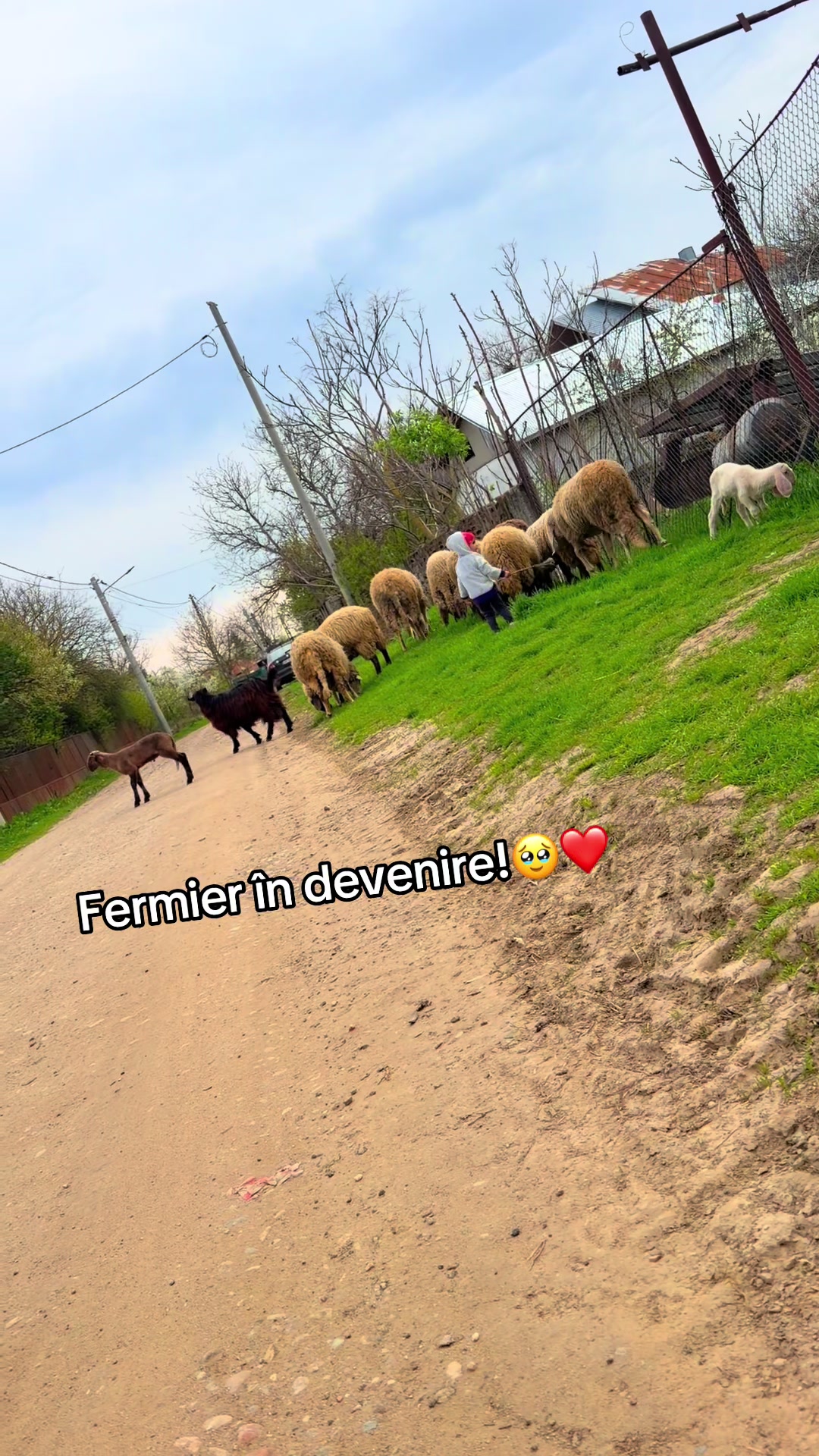 @🖤M.ă.d.ă.l.i.n.a🖤