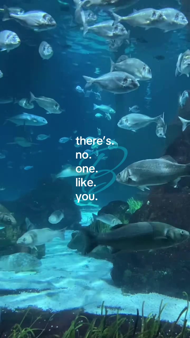 @Iinaᵇᵉ
