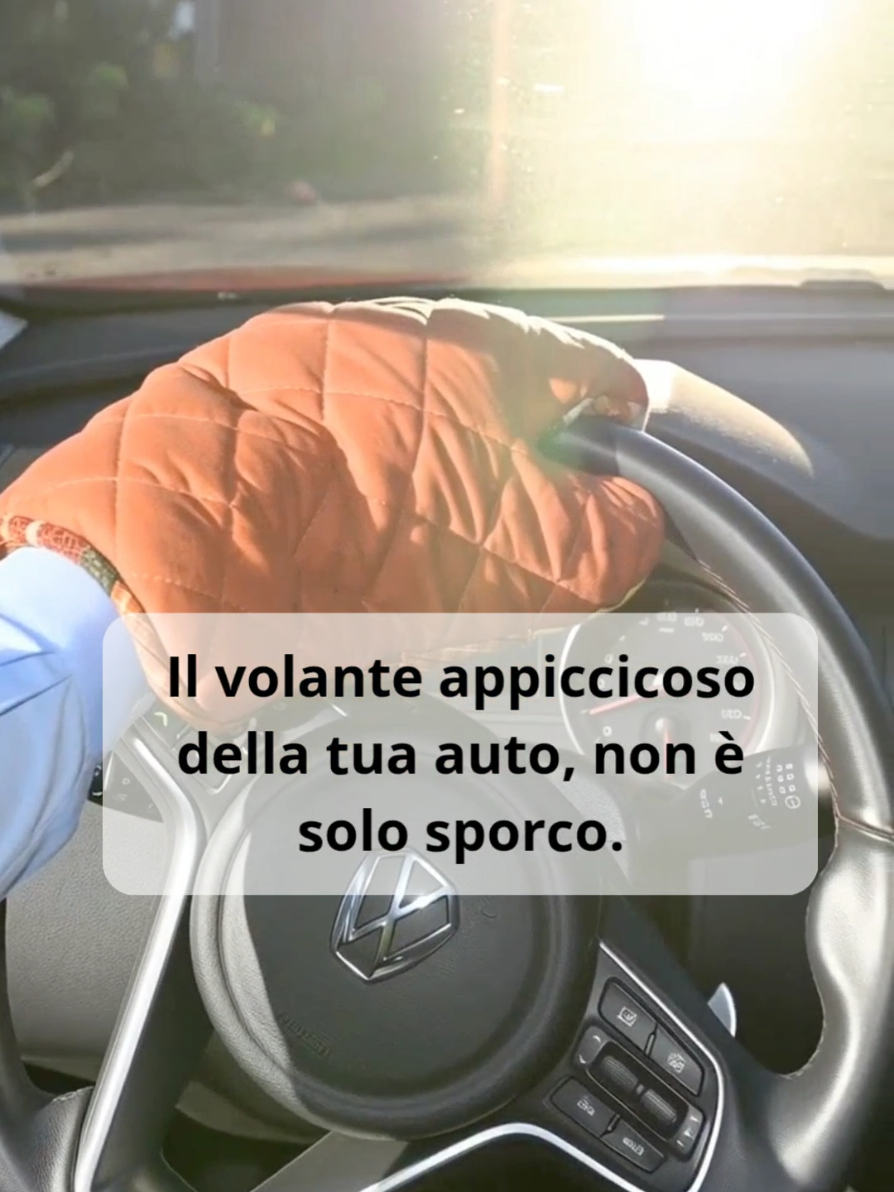 @Andrea | Pulizia Interni Auto