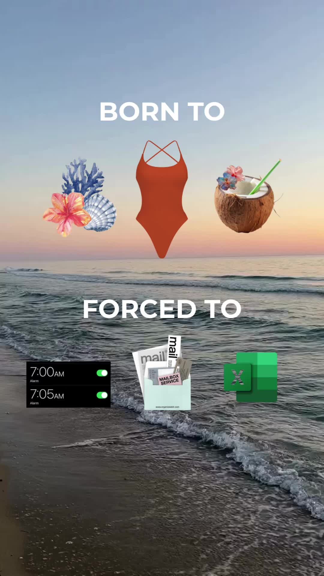 @nortbeachwear