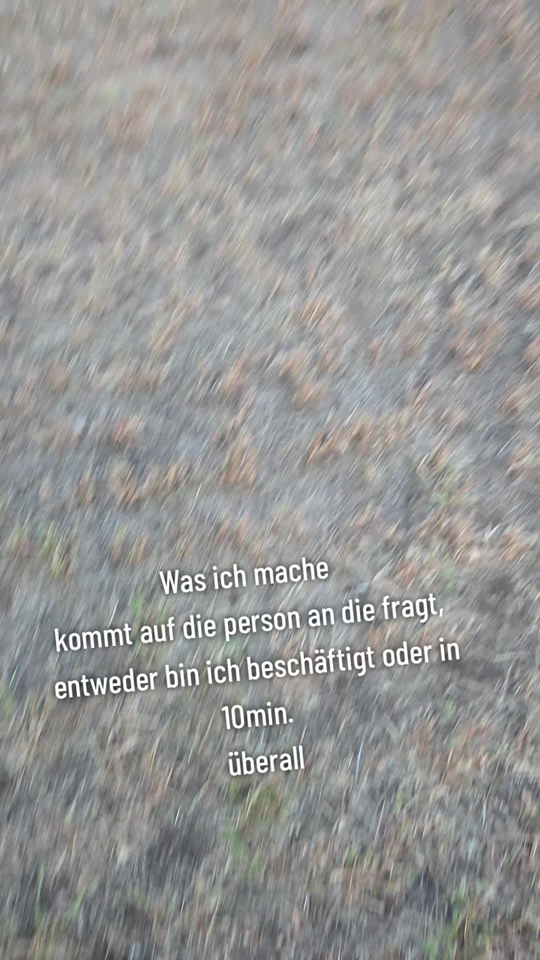 @mopedleon