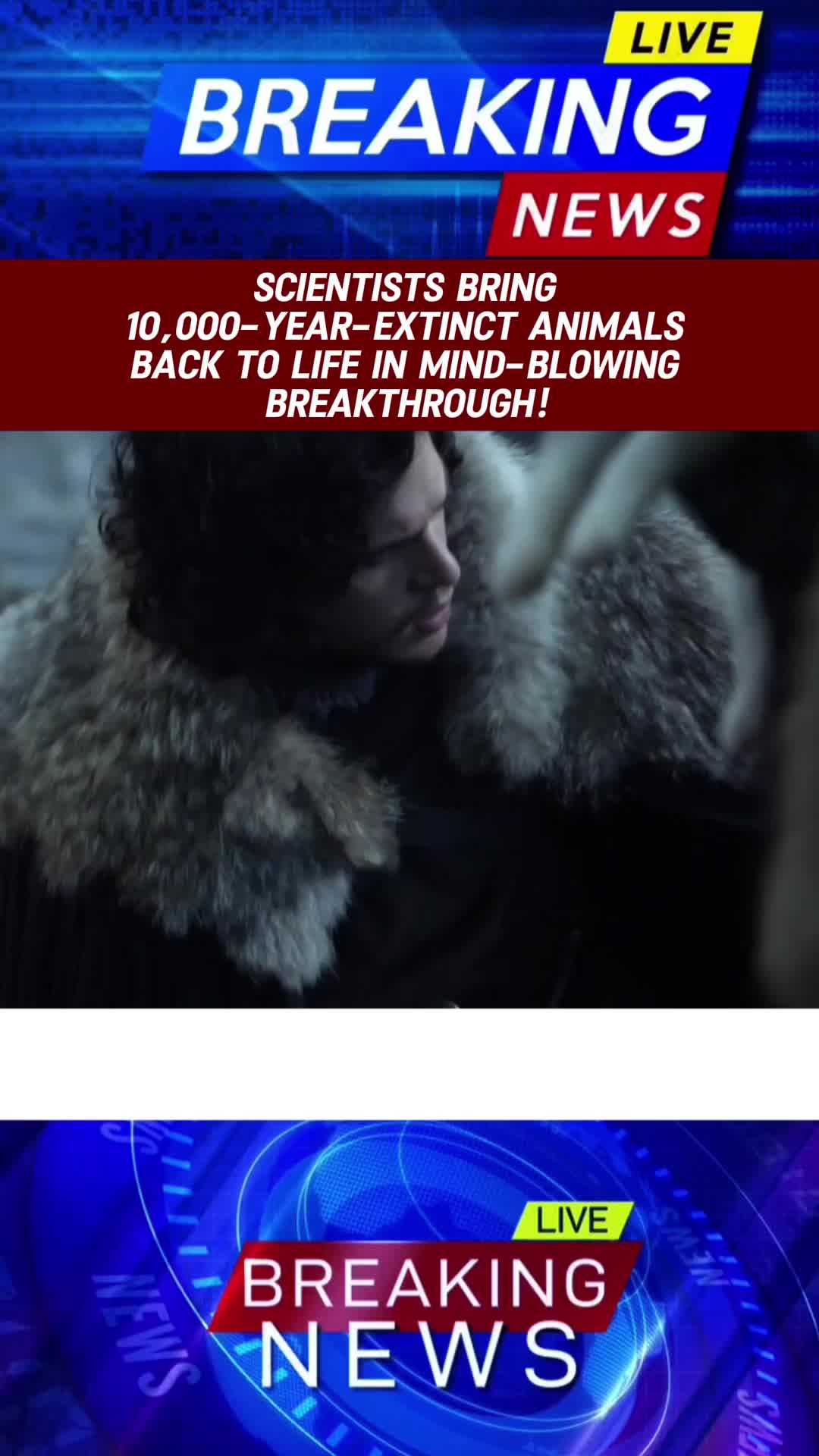@newnews.818