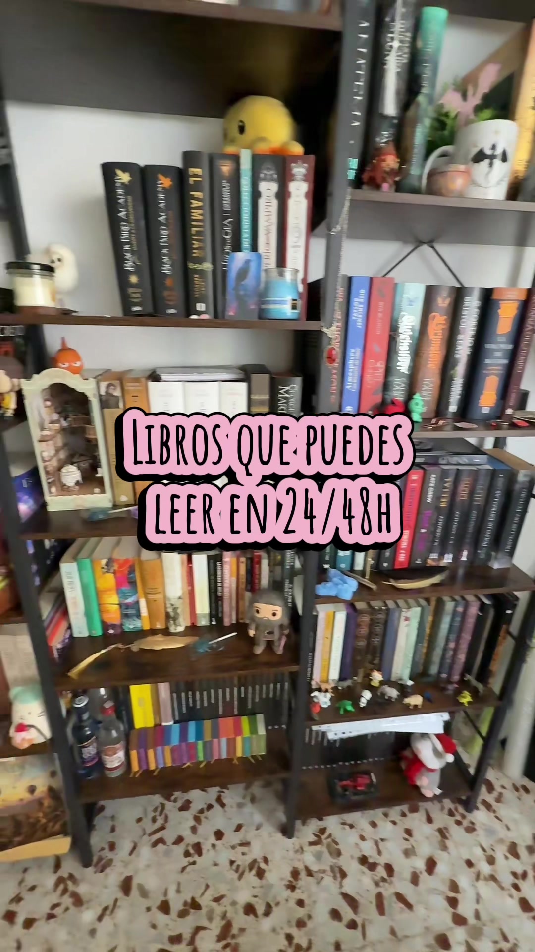 @✨ 📚 I N M A 📚 ✨