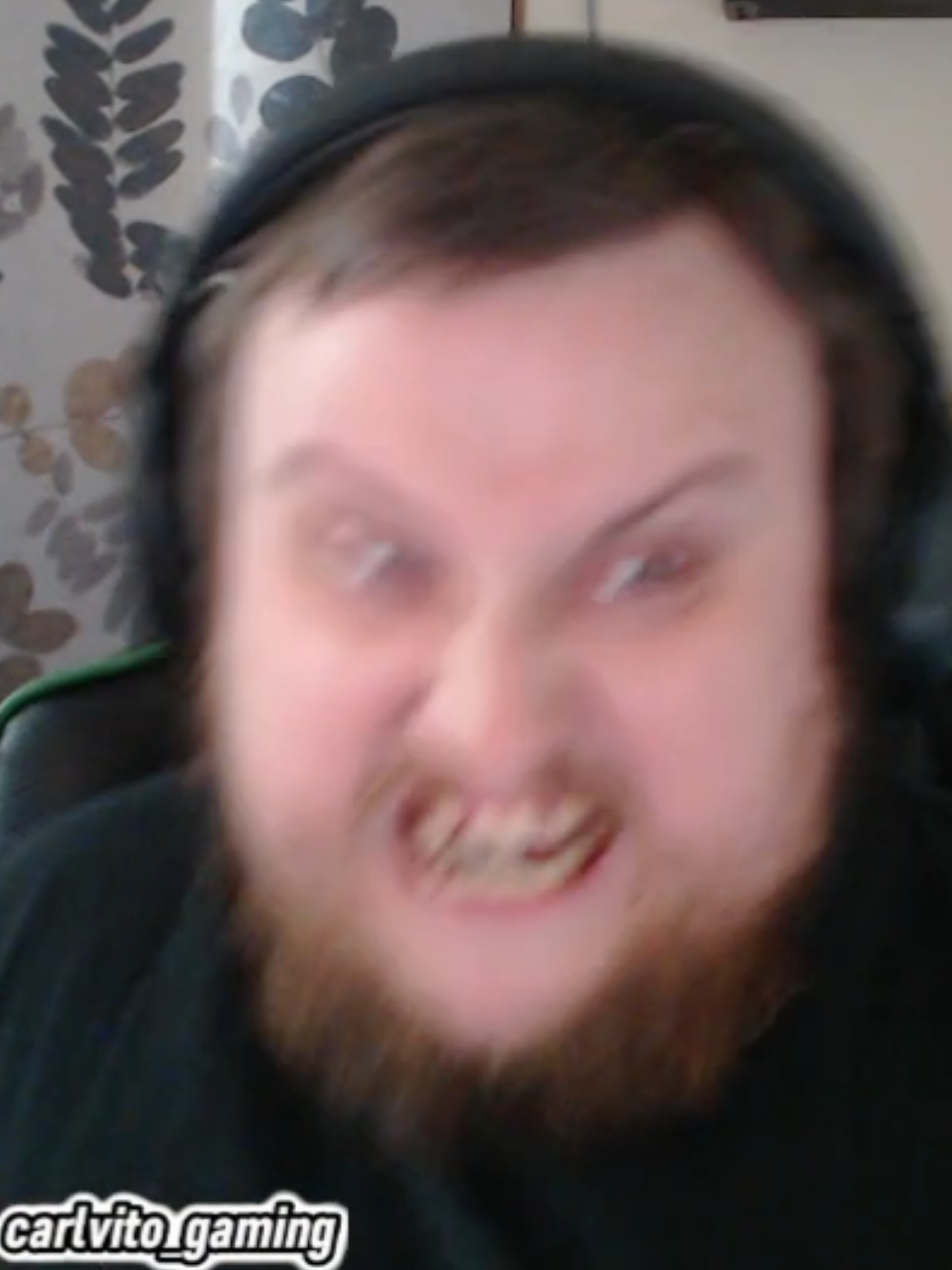 @carlvito_gaming