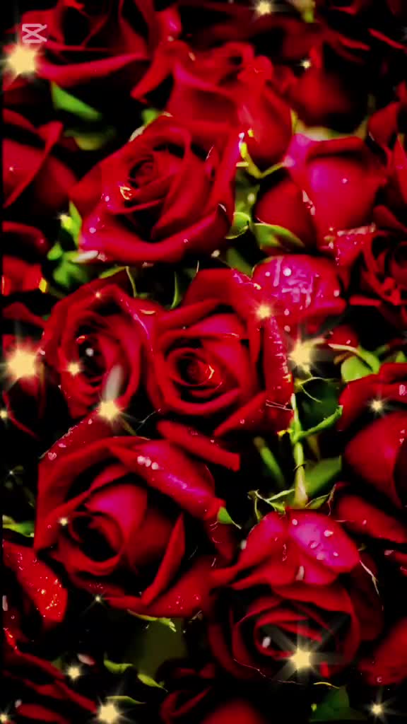 @_L_i_f_e_26