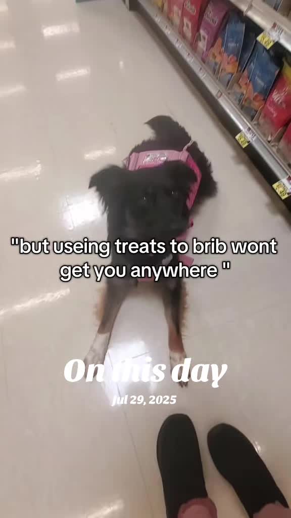 @Nala the Service aussie
