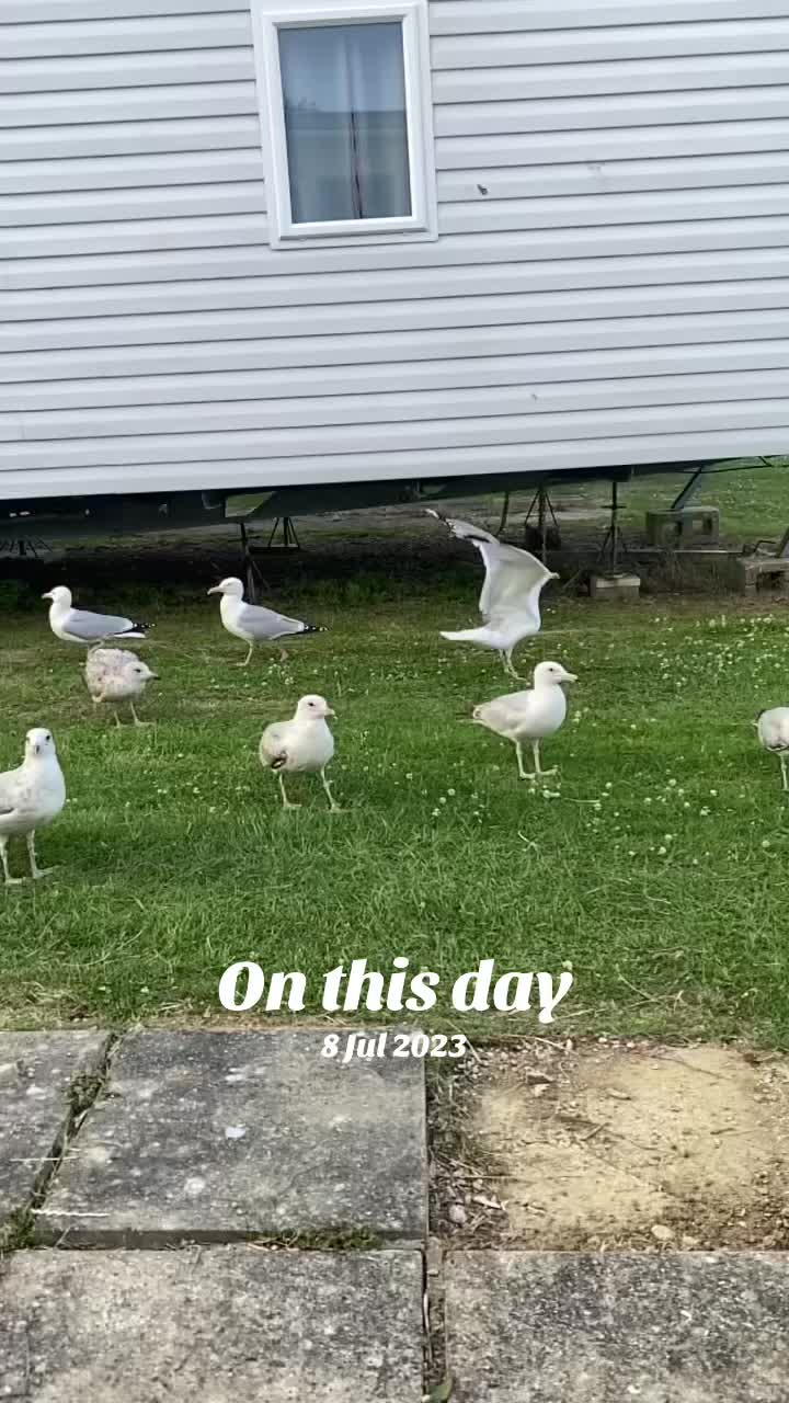 @𖣂BexymomtoWarriorboyJames𖣂