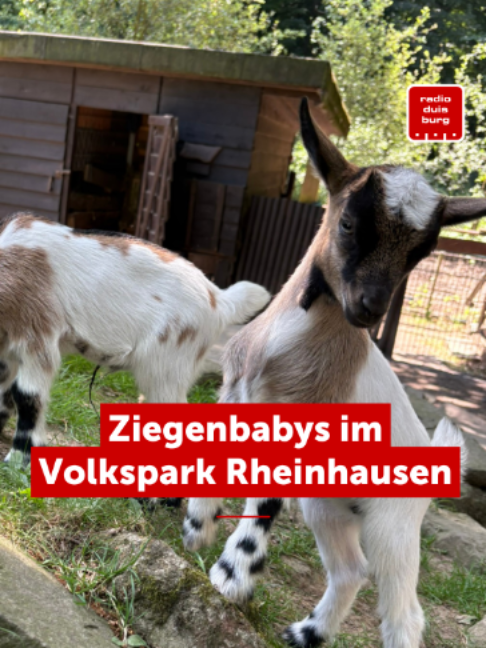 @Radio Duisburg