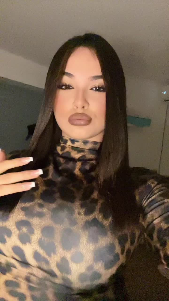 @carol.schipani