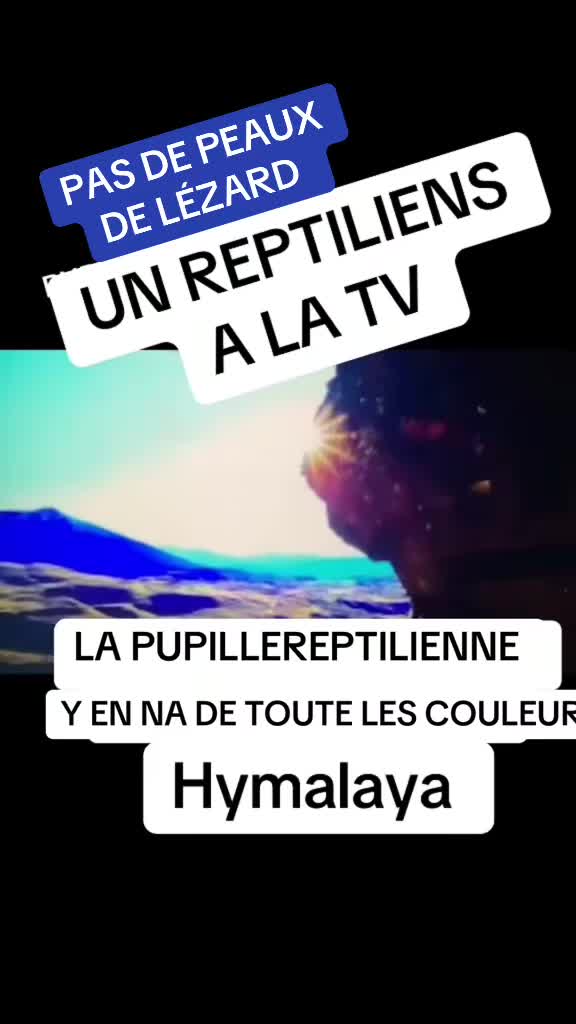 @reptilianpupil10
