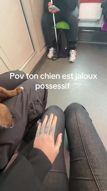 @lilith_lix