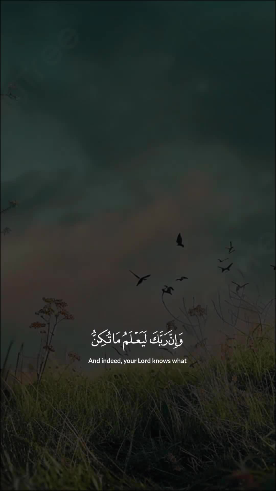 @فاطمہ 👸🏻