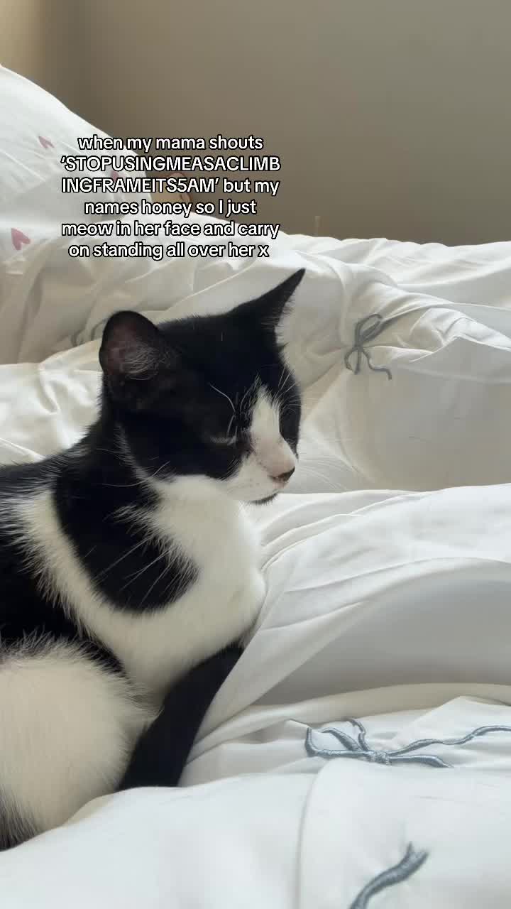 @A🖤.