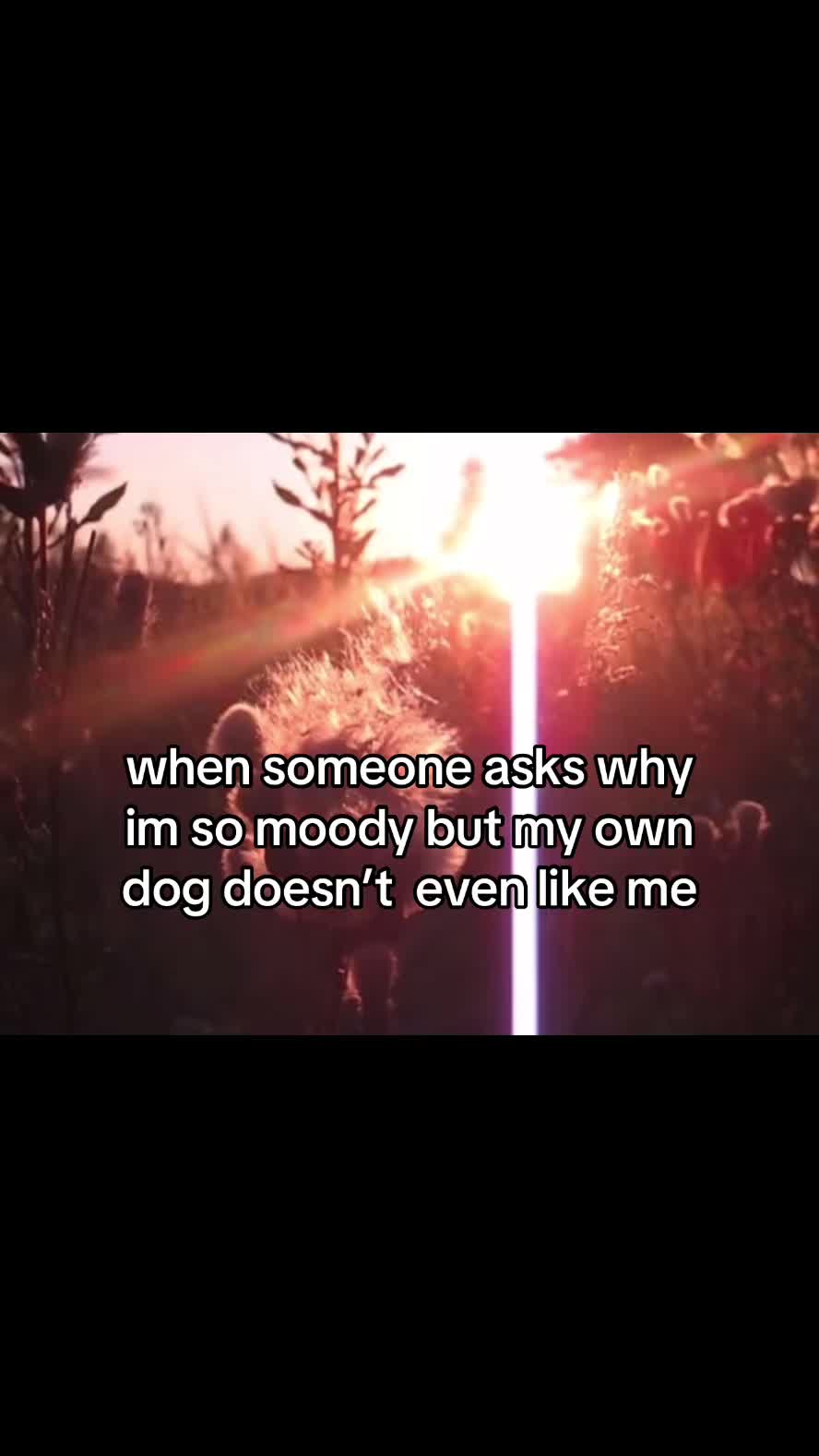 @αѕнєя ♡ѕ уυяι ⧼🔪🦇⧽