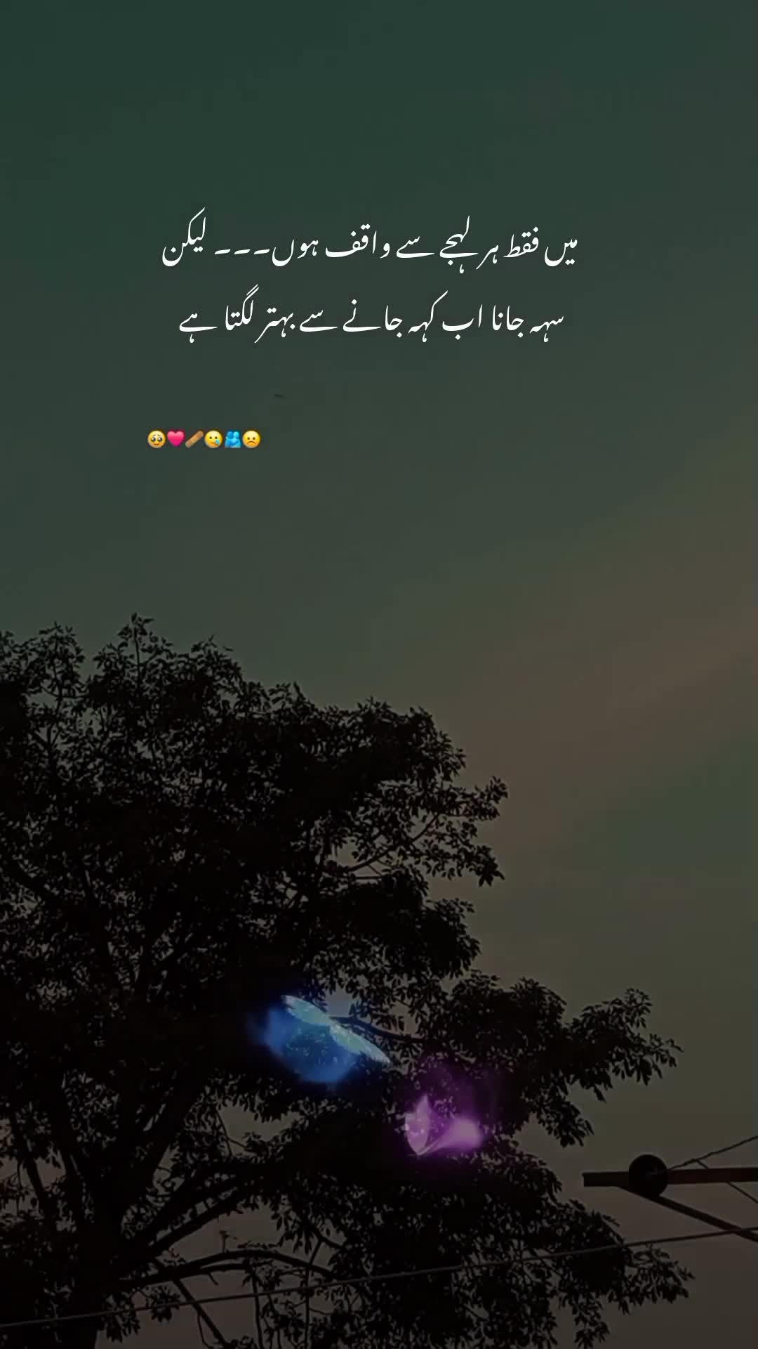 @NOOR 𔘓 / 🫥