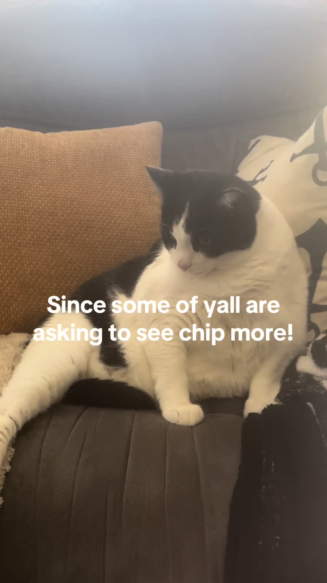 @Crab_Viohelper🙏🥹