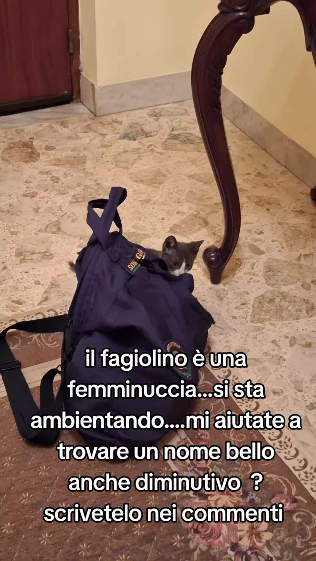 @marianna